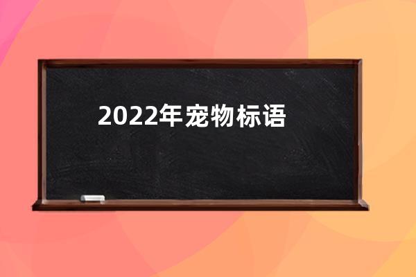 2022年宠物标语 