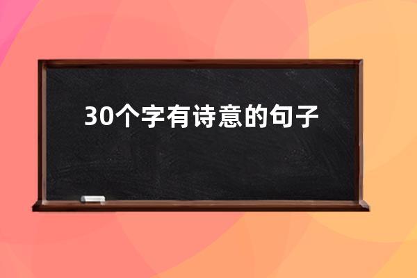 30个字有诗意的句子