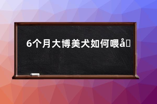 6个月大博美犬如何喂养