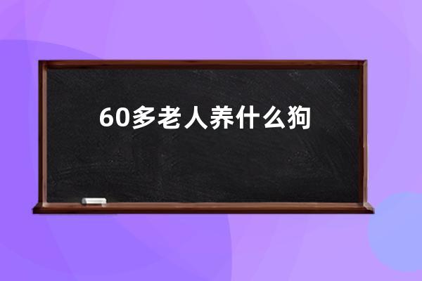 60多老人养什么狗 