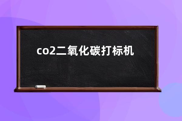 co2二氧化碳打标机