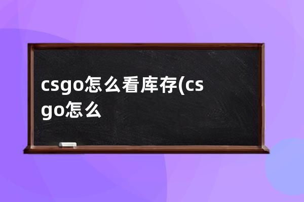 csgo怎么看库存(csgo怎么看库存记录)