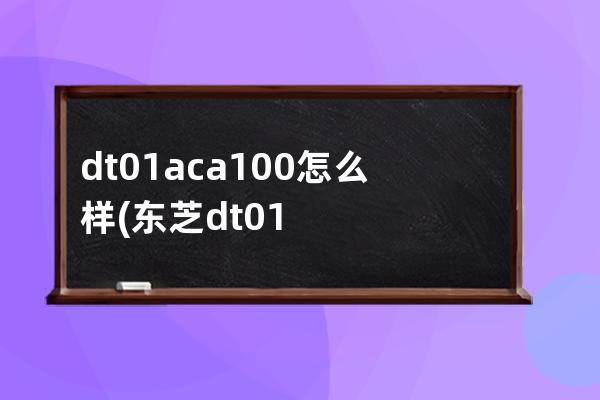 dt01aca100怎么样(东芝dt01aca100怎么样)