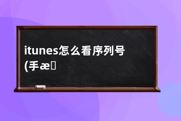 itunes怎么看序列号(手机序列号怎么看是不是翻新机)