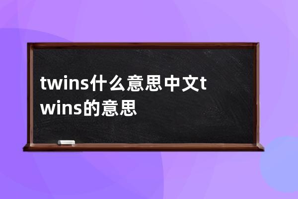 twins什么意思中文 twins的意思