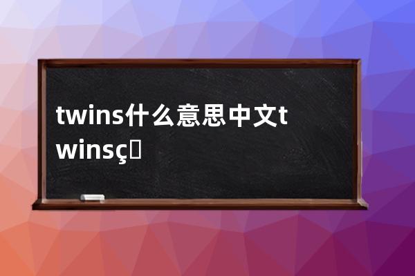 twins什么意思中文 twins的意思