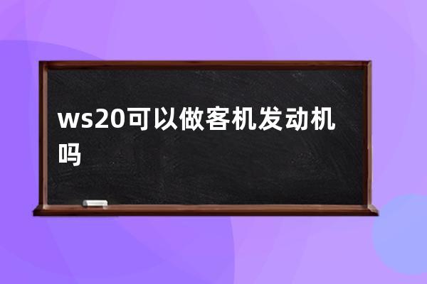 ws20可以做客机发动机吗